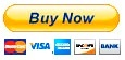 paypal button